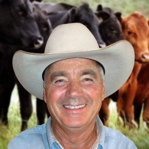 Livestock Report from Max Gifford in Wyoming & Montana
