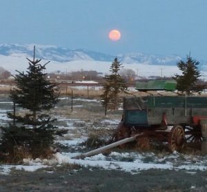 Wyoming Sunset from Running Horse Reatly