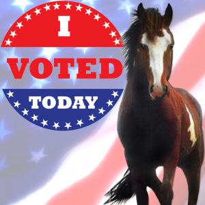 name the Horse