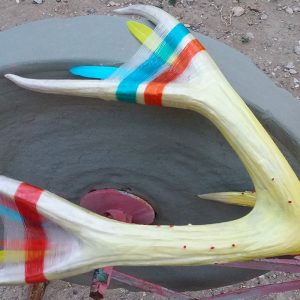 Erica Loloff Antlers and Poetry: Sunshine Antlers