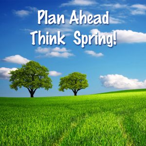 Think Spring Scene with Green Grass and Trees