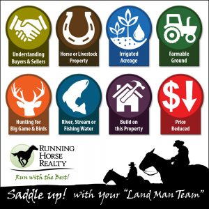 Real Estate Properties Features