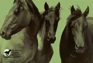 a-Slideshow-WY-RHR-horses