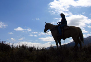 a-Slideshow-WY-hill-side-horse