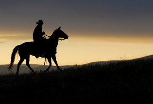 a-Slideshow-WY-sunset-horse
