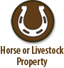 Wyoming Horse Property