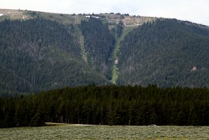 Pryor Mountains Wild Horse Range