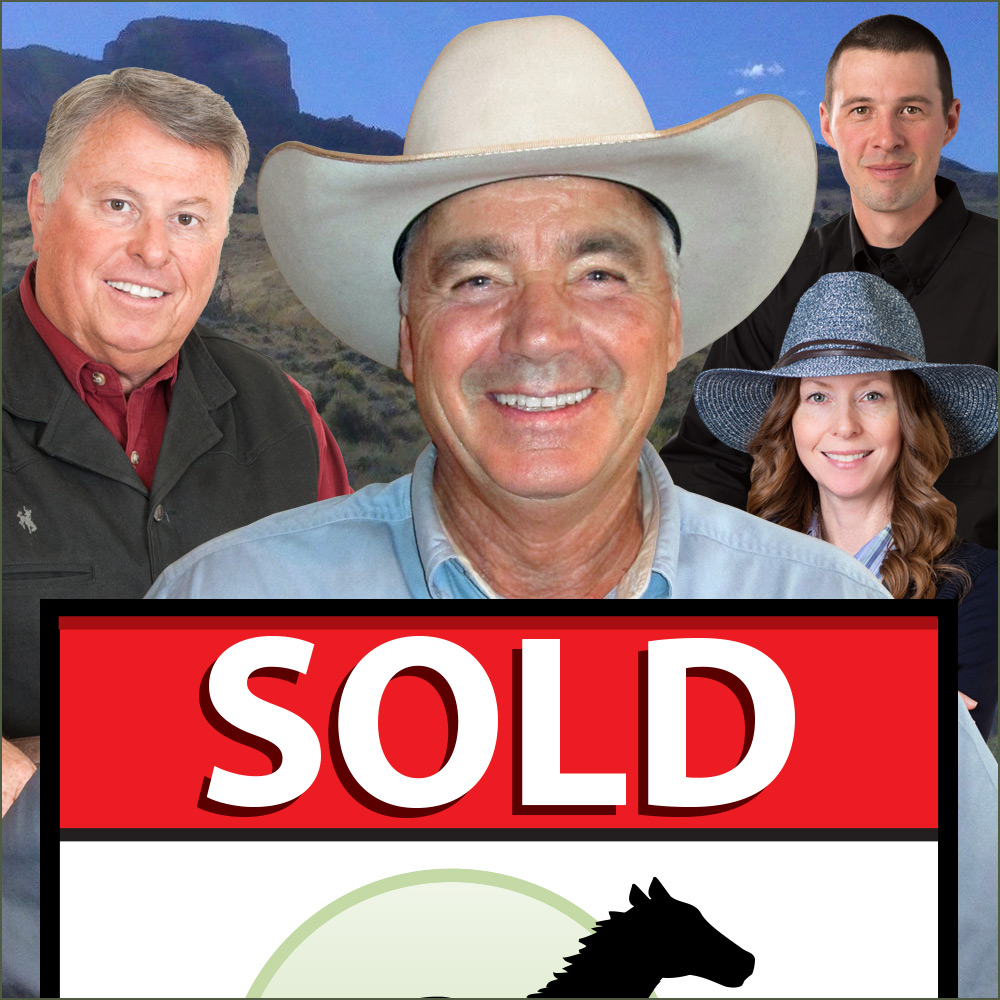 Max Gifford Gets You More For Your Property