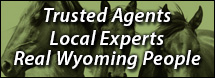Wyoming Realtor