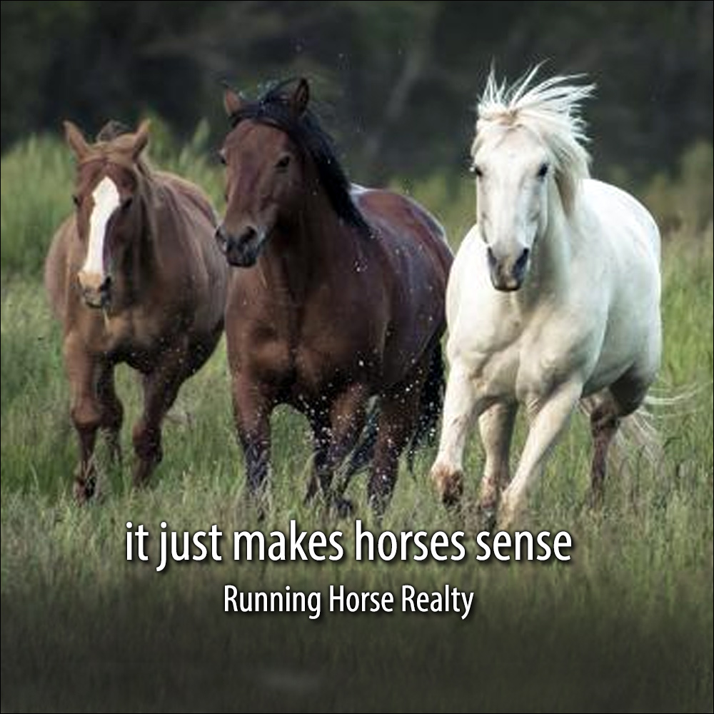 It Just Makes Horse Sense at Running Horse Realty