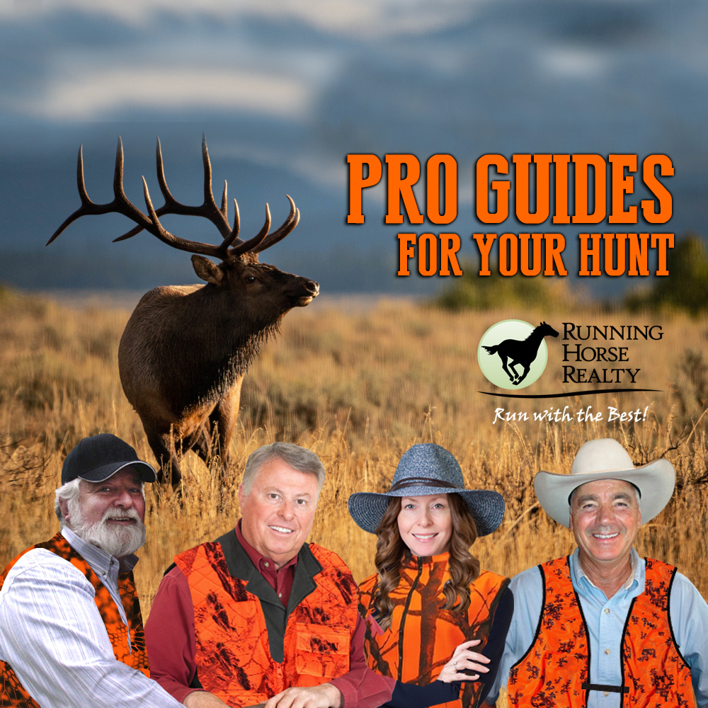 Your experts are here for Your Pro Guided Real Estate Hunt!